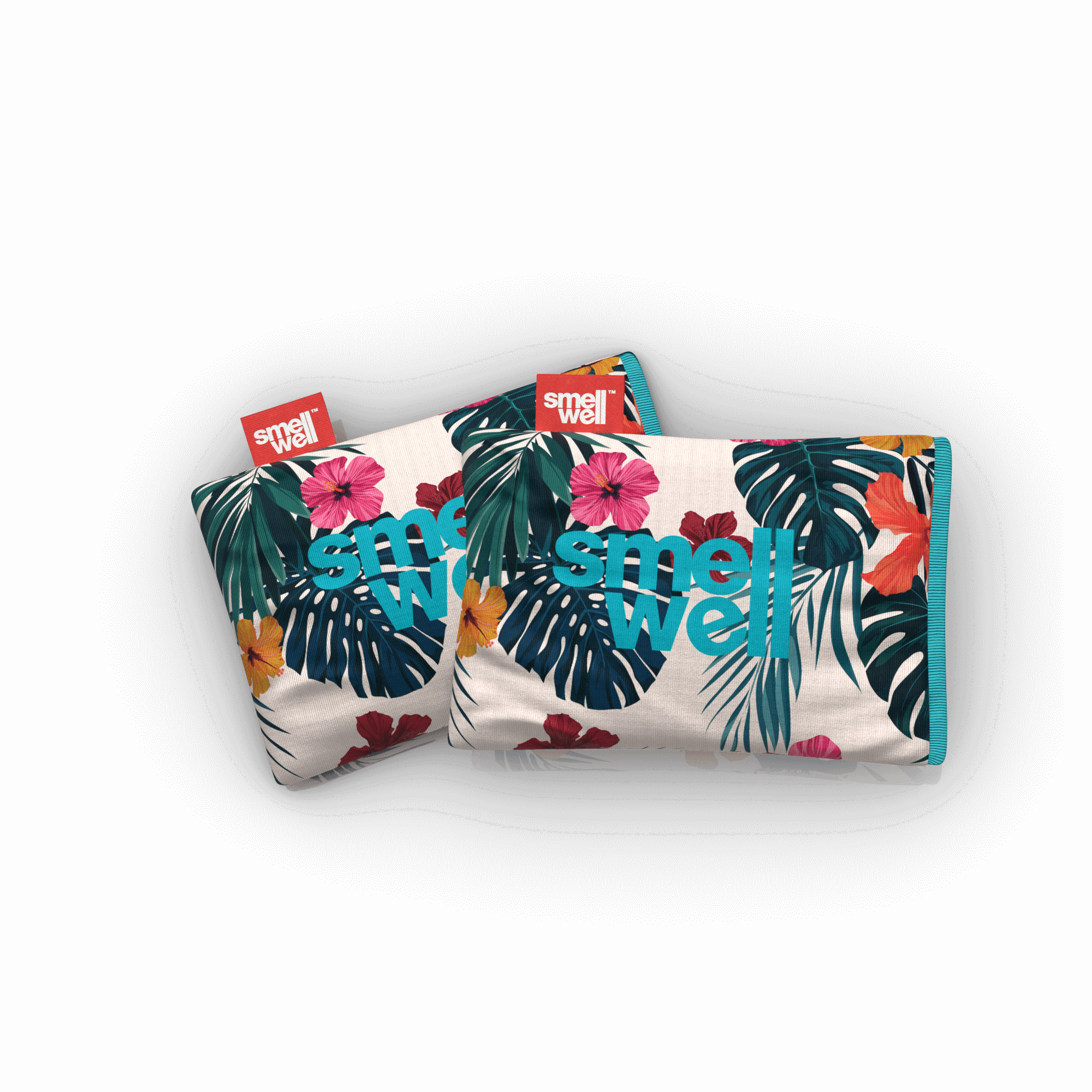 SmellWell Désodorisant Naturel Pour Chaussures - Lot De 2 - À Base De Charbon De Bambou - Efficace 6 Mois - 10