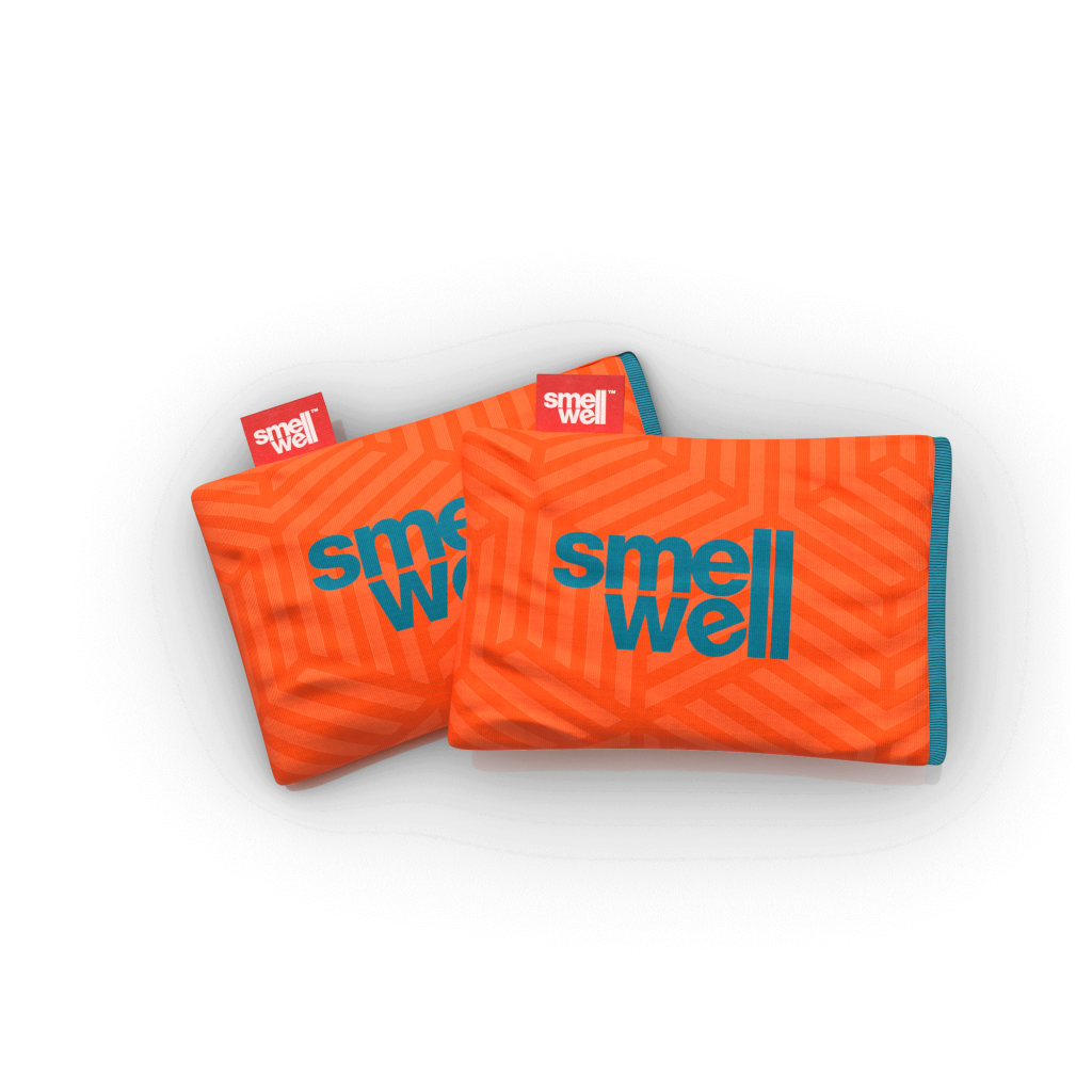 Inserts Désodorisants SmellWell - Lot De 2, Charbon De Bambou - Pour Chaussures, Sacs, équipement Sportif